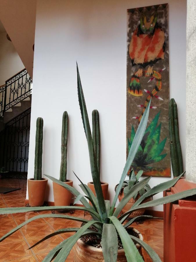 Casa Agave Oaxaca Bed and Breakfast Exteriör bild