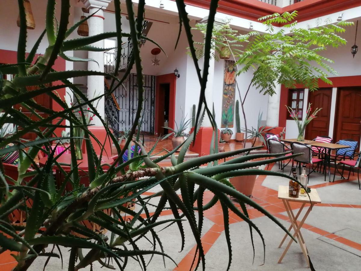 Casa Agave Oaxaca Bed and Breakfast Exteriör bild